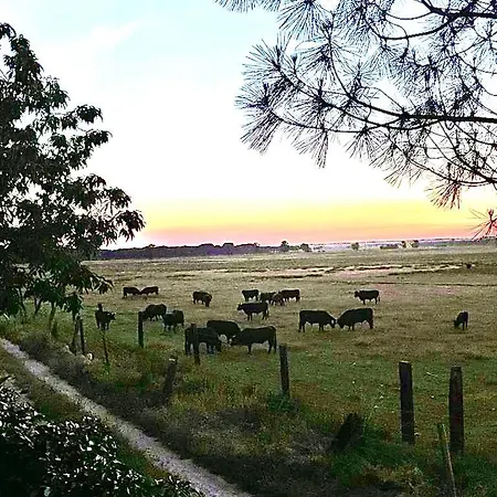 La Casa Del Cipres Dom wakacyjny