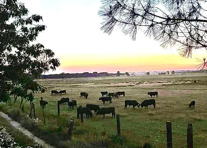 La Casa Del Ciprés Hébergement de vacances